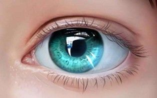 110205758.jpg 83b98c4f23c141ad85a1ea3070a68753.jpg