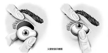 110219137.jpg 67904f80792d468e8cc12977be2df11e.jpg