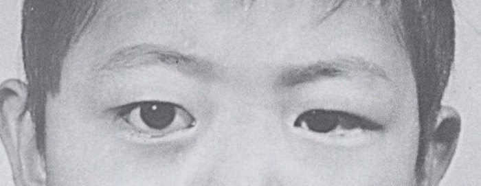 144828486.jpg 78c116d0c1be41c6bdabed2a6daf411b.jpg