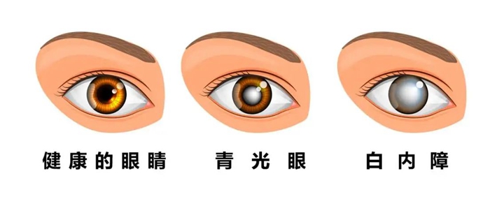 145519805.jpg d41b9ae808ee48cba524ea0801a2fceb.jpg